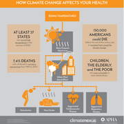 Transportation and the Urban Heat Island Effect